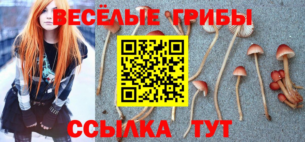 Галлюциногенные грибы MAGIC MUSHROOMS Феодосия